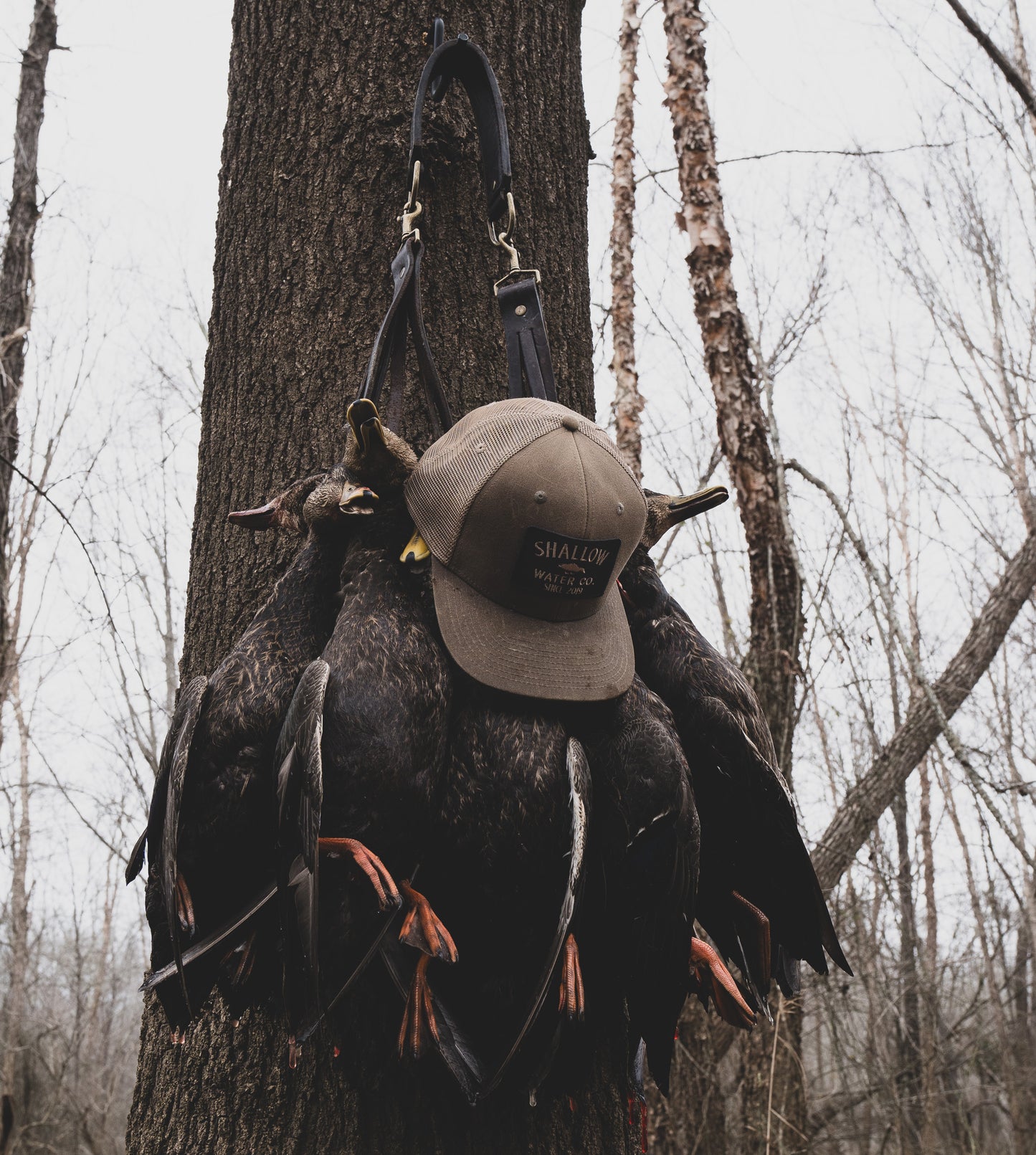 Waxed Rambler Hat | Sand