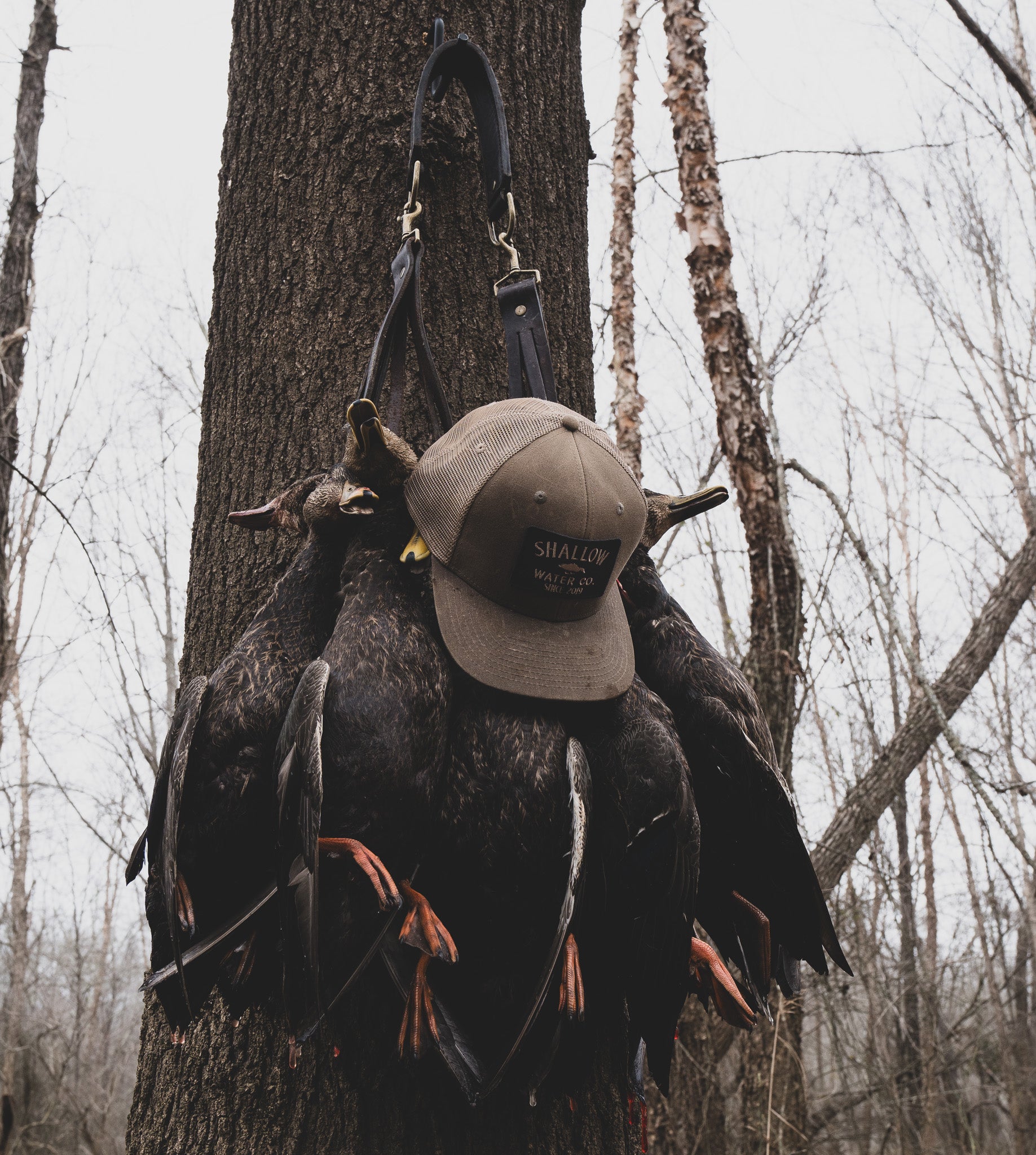 Waxed Rambler Hat | Sand