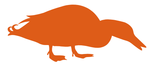 Orange silhouette of a duck on a white background